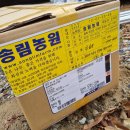 동백 유기농원 네이버블로그
