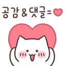 그믐달셀프스튜디오시흥배곧점 이미지
