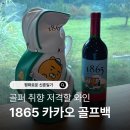 카카오일 | 1865 카카오 골프백 라이언 후기 편의점 와인 선물 추천