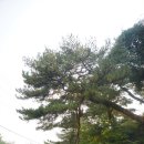 성주리마을회관 | 한중차문화연구회 가을 들차회 - 함양