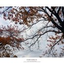 교2동-4 이미지