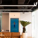 선도 office(오피스) 이미지