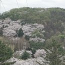 강산부동산공인중개사사무소 이미지