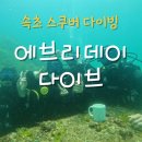 속초코지테마펜션 | [속초 여행] 에브리데이 다이브 l 인생 첫 스쿠버...성공? 실패?(내돈내산 솔직후기 / 아쉬웠던 점/ 가격)
