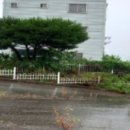 와이제이푸드 이미지