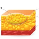 라파엘외과의원 이미지