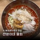 선영이네 | 고성 물회 전문점 봉포해수욕장맛집 선영이네물회 솔직 후기