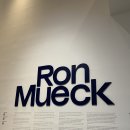 국제현대미술관 | [2025년 전시기록] 현실보다 더 현실 같은 조각의 세계, 국립현대미술관 론 뮤익 전시 후기