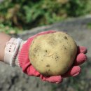 광활초등학교 이미지