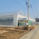 칠포농장 이미지