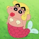 제이드레스 이미지