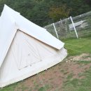 with dog(위드독) 이미지