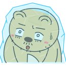 피오네디자인
