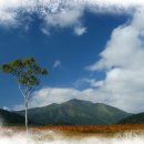 인천바오로병원 이미지