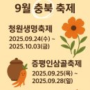 보강천시민체육공원축구장 네이버블로그