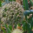 (주)그린아그로 이미지