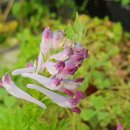 노지하우스 이미지