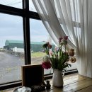 플레이스 엉물 [제주]<b>플레이스</b><b>엉물</b>