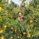 야베스 농장 이미지