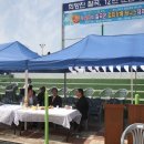 칠곡군종합운동장 테니스장 이미지