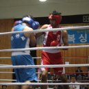 레프티복싱 이미지