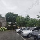 천안 맛집 쭈꾸미 전문점 불나는 쭈꾸미 점심 후기
