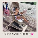 (주)지피안 | 올보르 앨빈 트라이크 내돈내산후기