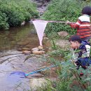 로뎀나무아래 이미지