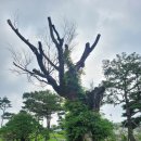 월악하늘계곡펜션 이미지