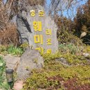 중문훼미리콘도미니엄 이미지
