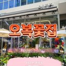 오복꽃집 이미지