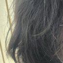 부시시 | HAMOCELL 매직스트레이트샴푸로 집에서 매직하기! 부시시한 머리 탈출 후기