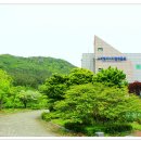 고려청자 디지털박물관 이미지