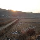 세진펜션 Daum카페