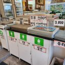 세븐일레븐 설악유명산점 네이버블로그