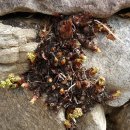 운학민박 이미지