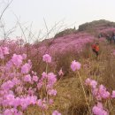 행복동산 이미지