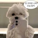 한양대학1길 1 이미지