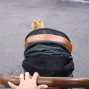 로얄세차장 이미지