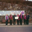 황소카인테리어 이미지