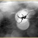 수원한의원 이미지