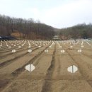 석굴암농장 이미지