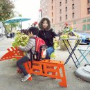 디스팩토리 이미지