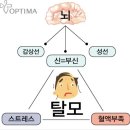 강남 옵티마 정약국 이미지