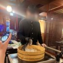 미락장어 이미지