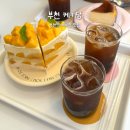 소사구 성주로 224 | 부천역 케키당 디저트 카페 케이크 맛집 내돈내산 후기,부천 망고케이크 맛집