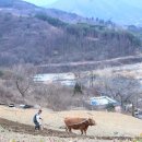 기운 이미지