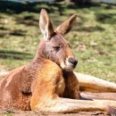 채선농장 이미지