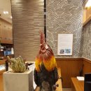 고려조삼계탕 상무점 이미지