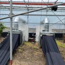 자연에너지 이미지